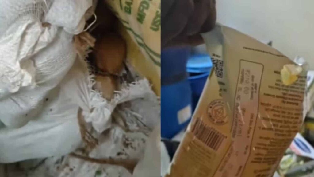 Zepto Bengaluru Warehouse Raid
