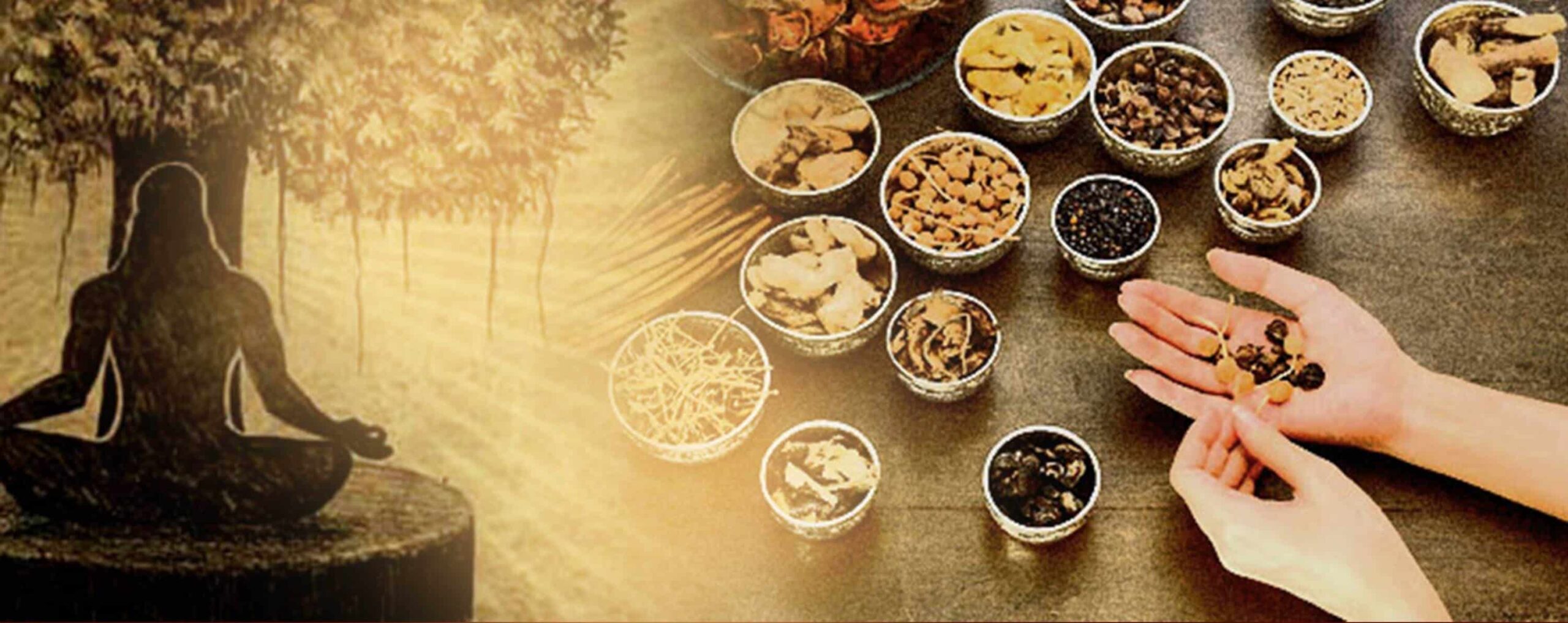 ayurveda ayush jeevan news