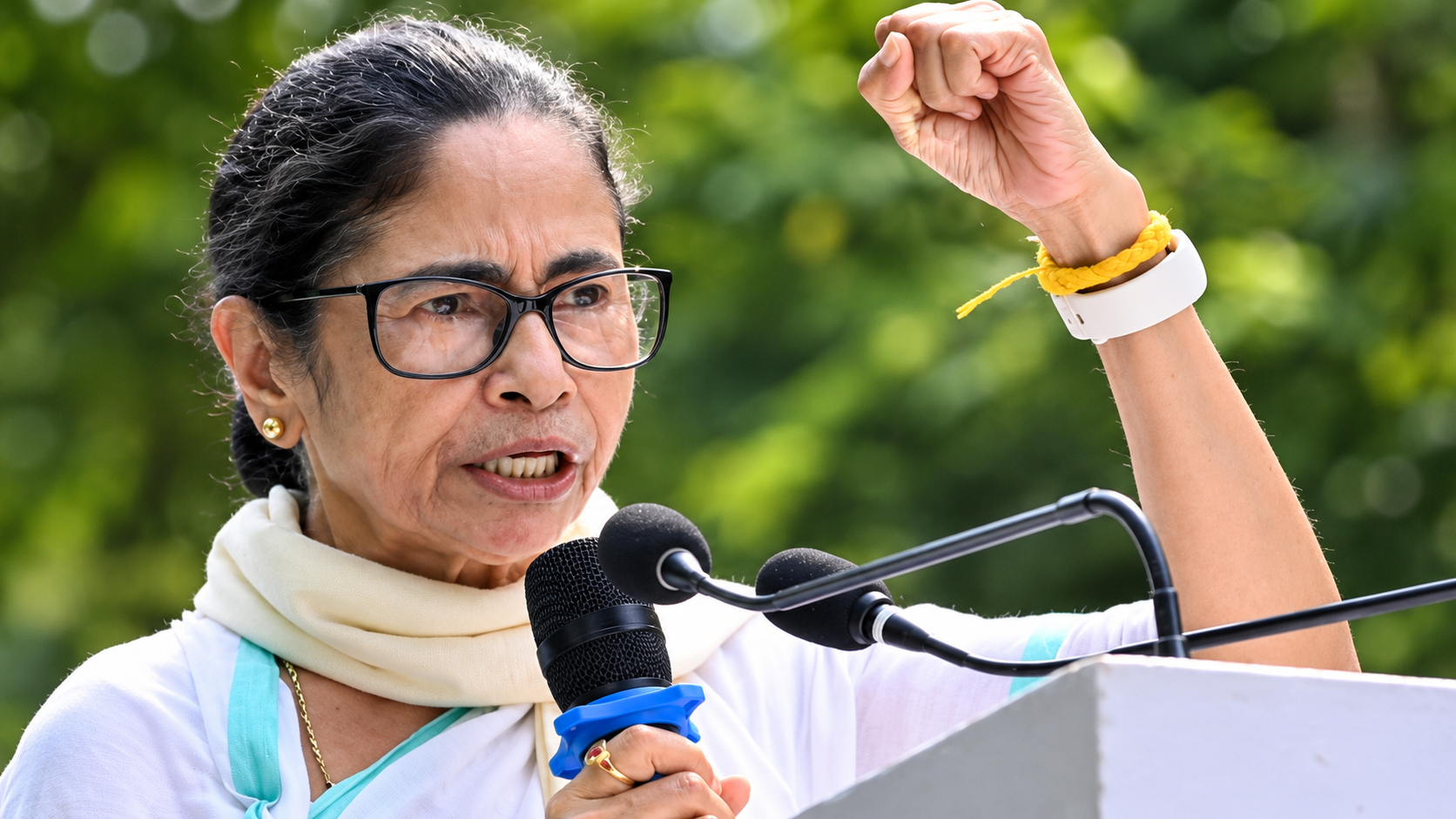 ममता बनर्जी TMC नाम और चुनाव चिन्ह